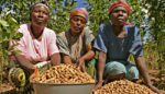 You Don’t Need a Science Degree to End World Hunger