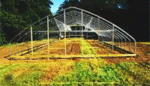 In Cleveland, Hoop Houses Turn Empty Lots into Year Round Farms