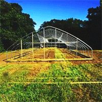 In Cleveland, Hoop Houses Turn Empty Lots into Year Round Farms