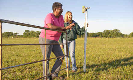 Black Farmers USDA