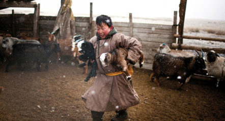 MongolianBoy.jpg