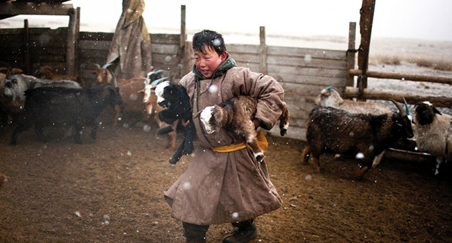 MongolianBoy.jpg