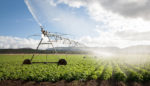 For a Greener New Deal and Cooler Climate, Focus on Food and Agriculture