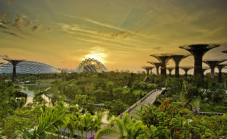 Gardens by the Bay in Singapore. Photo by Piyavachara Nacchanandana.