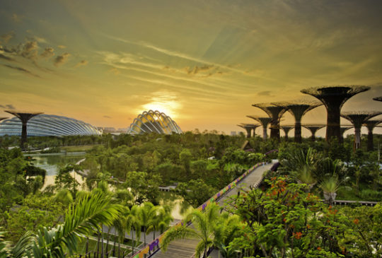 Gardens by the Bay in Singapore. Photo by Piyavachara Nacchanandana.