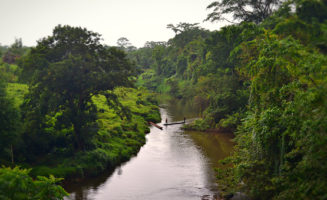 Pis Pis River in Mayangna Territory