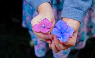 Photo by Annie Spratt via Unsplash