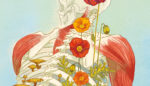 4 Ways to Give Your Body Back to Nature After You Die