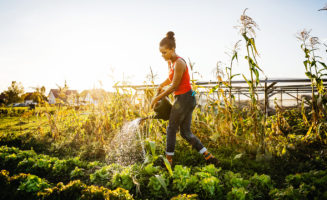 waterrevolution.jpg
