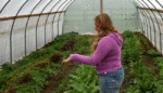 A Kentucky Domestic Violence Shelter Helps Women Grow Food—and Confidence