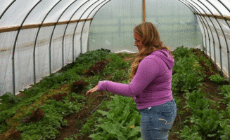 greenhouse_650.gif