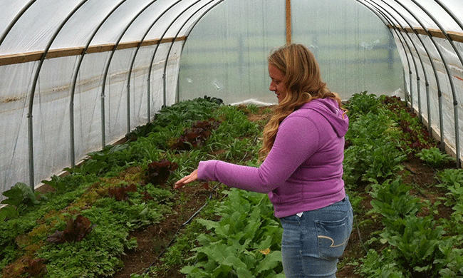 A Kentucky Domestic Violence Shelter Helps Women Grow Food—and Confidence