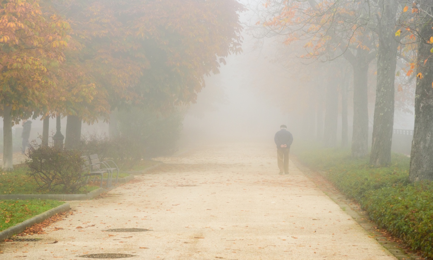 autumn-fall.jpg