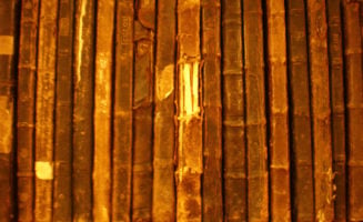 Visual Learning: Old Leaves, New Wisdom