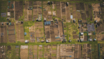 The Secret to Growing More Food With Fewer Chemicals? Squirmy Soil