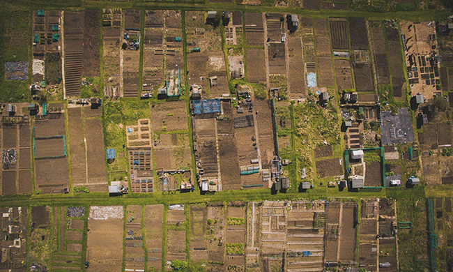 The Secret to Growing More Food With Fewer Chemicals? Squirmy Soil