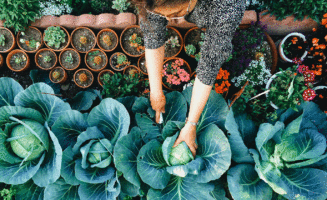 spring-gardening.gif