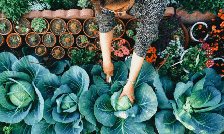 spring-gardening.gif