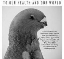 Their Fate is Our Fate: How Birds Foretell Threats to Our Health and Our Worldby Peter DohertyThe Experiment