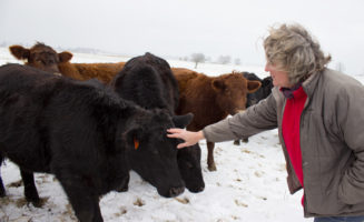 Jennifer "Tootie" Jones visits the beef cattle she raises at Swift Level Farm in West Virginia