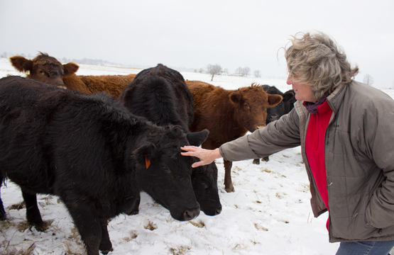 Jennifer "Tootie" Jones visits the beef cattle she raises at Swift Level Farm in West Virginia