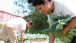 Meet the Tenacious Gardeners Putting Down Roots in “America’s Most Desperate Town”