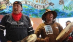 The Race to Stop Tar Sands Pipeline Financing