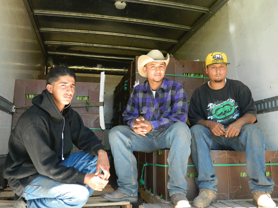 Octavio Garcia and his brothers now manage their own 6.5 acres leased from ALBA. Photo by Nancy Porto / ALBA.