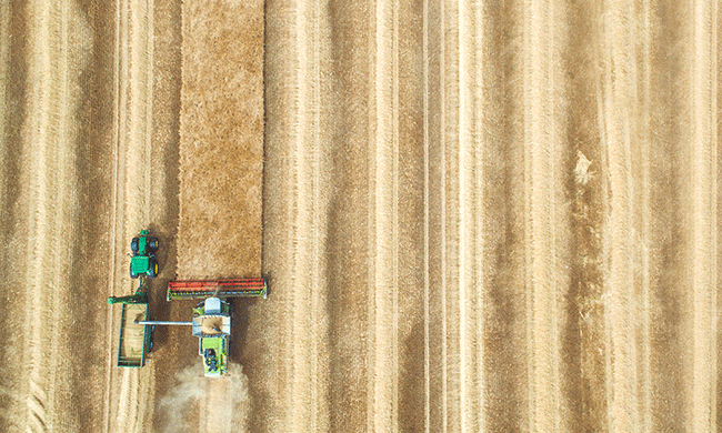 Goodbye, Small Farmer? Investors Could Soon Own Most of American Farmland