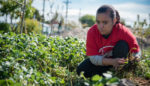 Meet the McDonald’s Cashier Taking on Her CEO for Climate Change