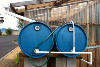 Rain barrels by Gail Langellotto.